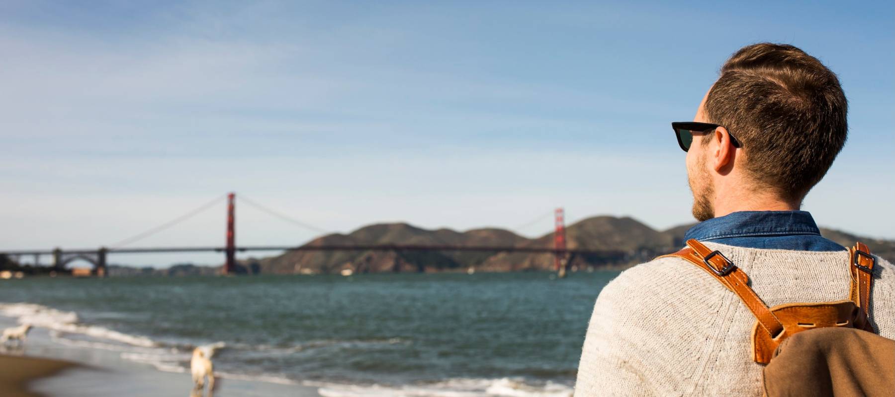 Rear view of man on beach on sunny day