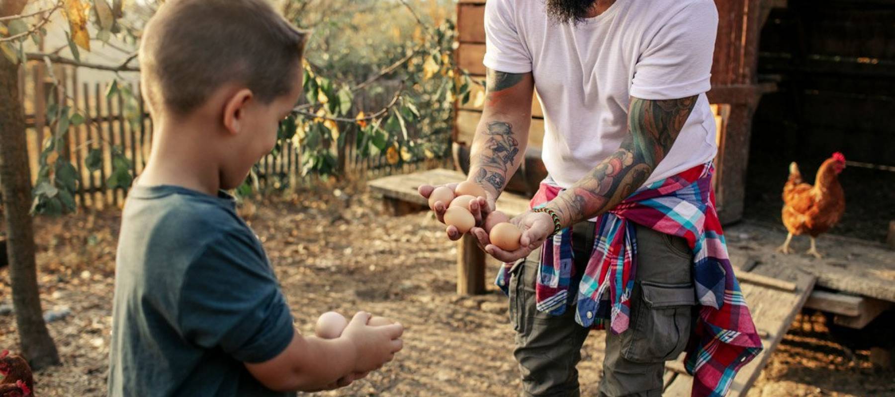 Beared man with tattooed arms and a flannel shirt tied around his waist shares eggs from a henhouse with young boy