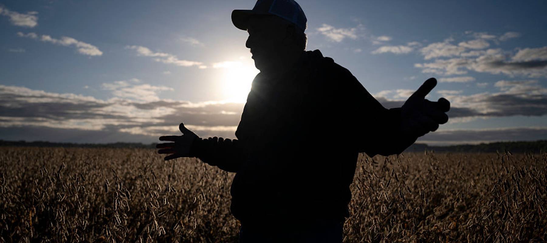 Travis Hutchison, a soybean farmer, speaks during an interview as he stands in a soybean field