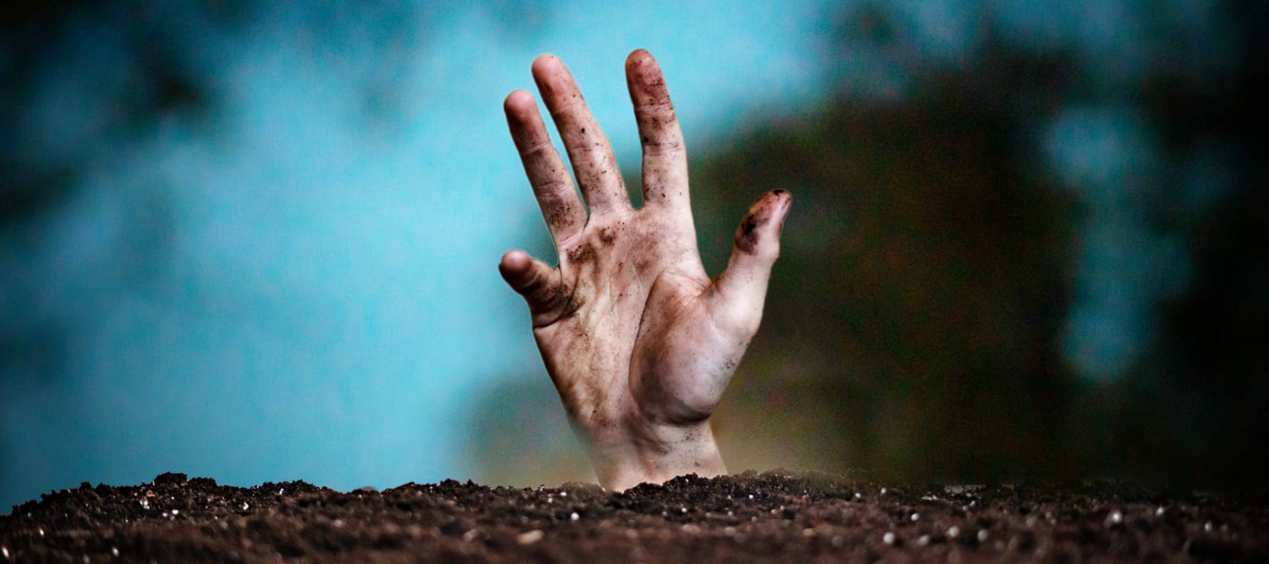 hand raise from the soil ground