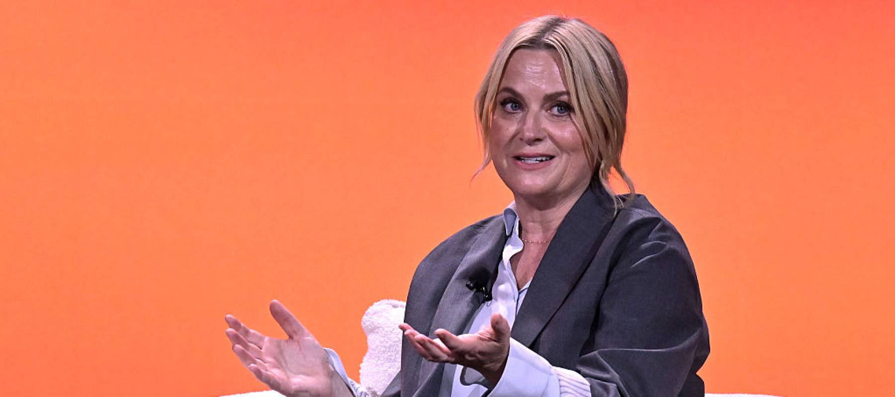 Amy Poehler