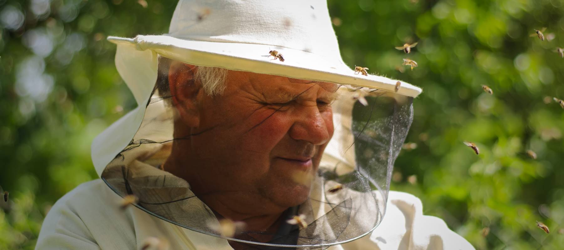 Smiling white-haired older male in a bee suit with bees buzzing around him.