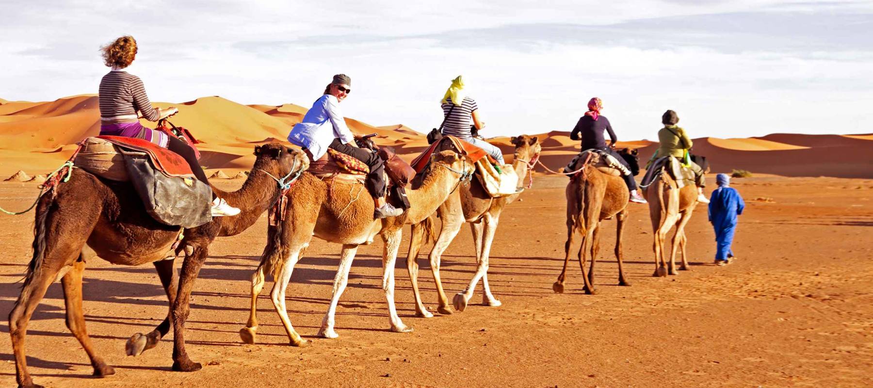 Camel caravan going through the sand dunes in the Sahara Desert, Morocco