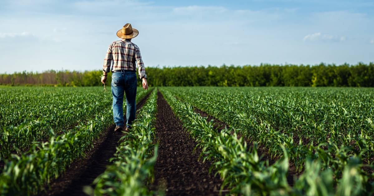 5 alternative ways to grow your wealth