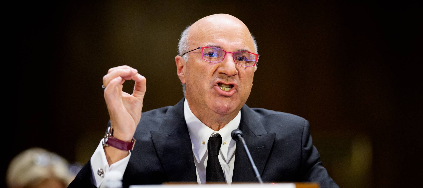 Kevin O'Leary speaks before a Senate Committee on Aging and House Select Committee.
