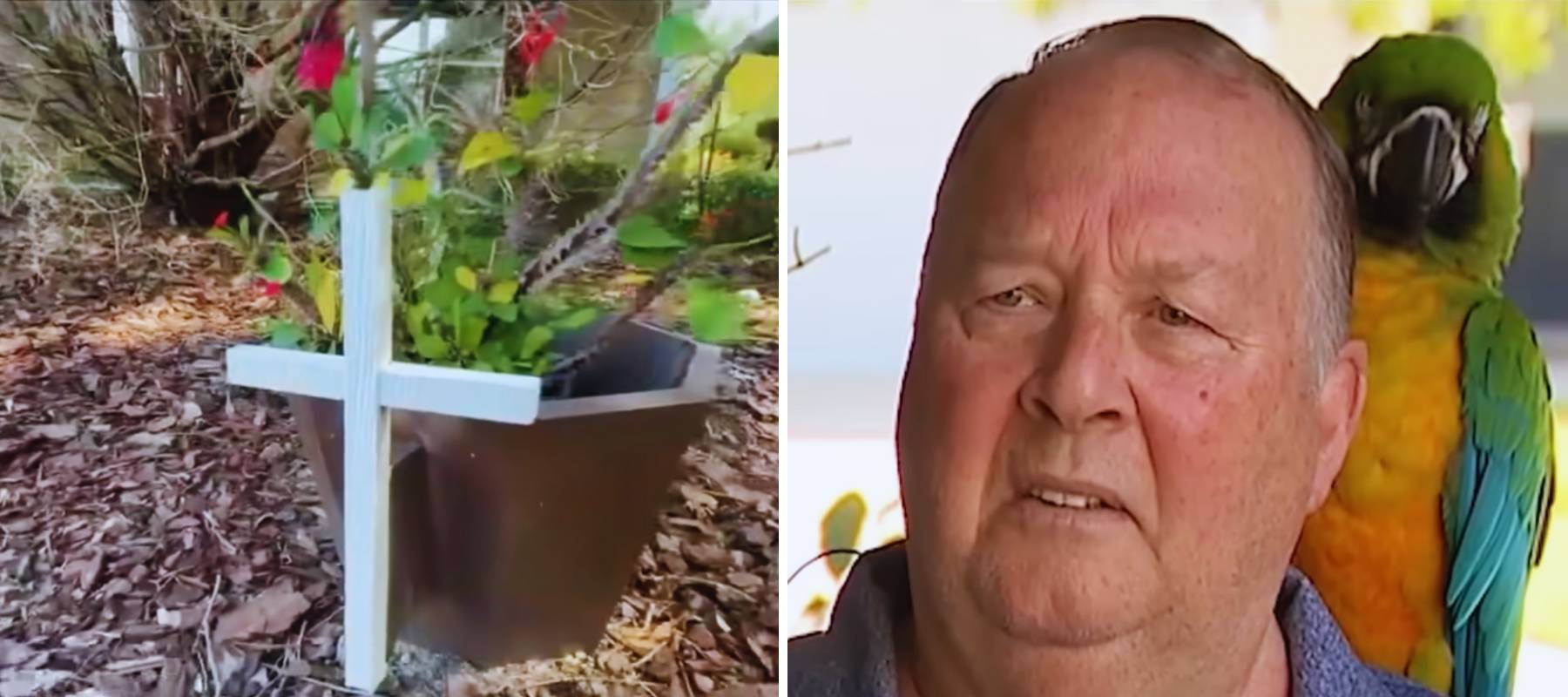 Wayne Anderson was shocked to receive fines for an innocent cross.