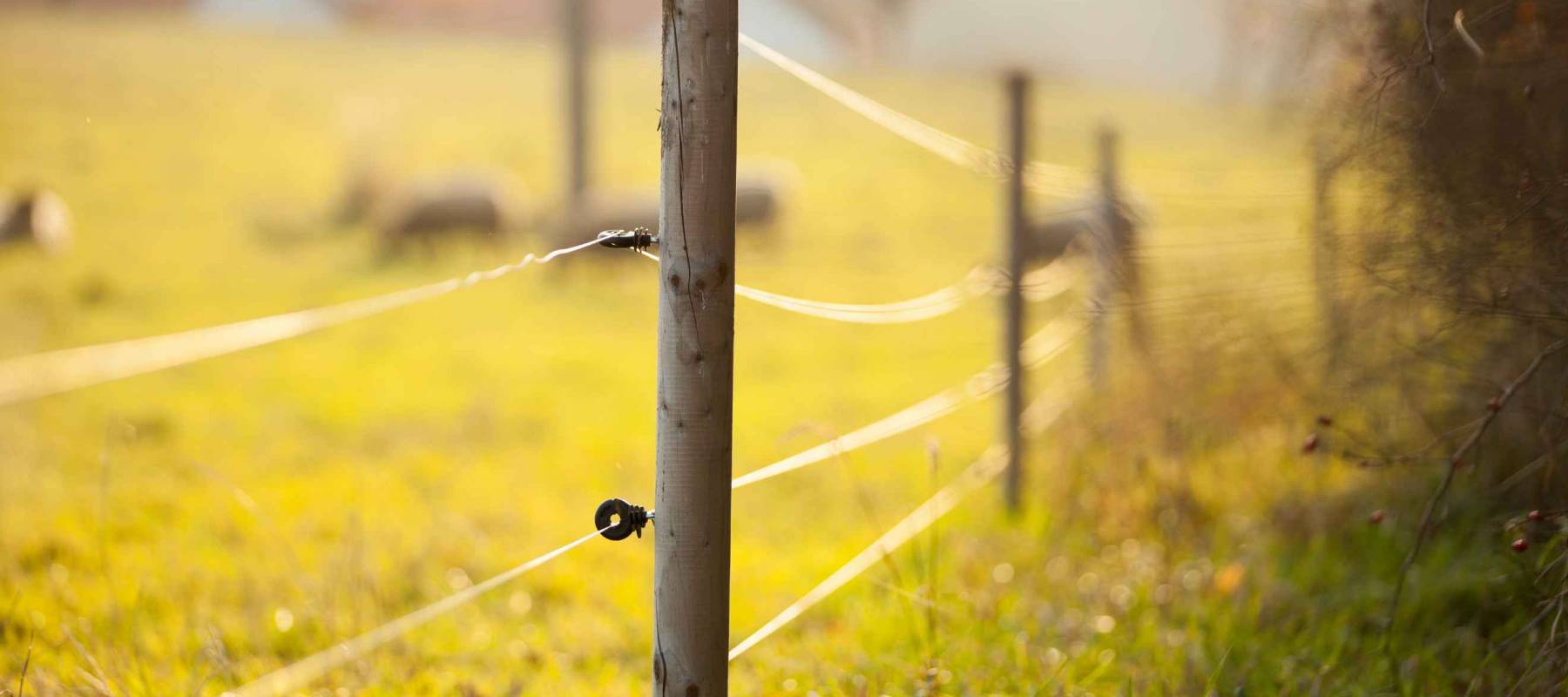 Guide How To Install An Electric Fence Guide How To Install An Electric Fence