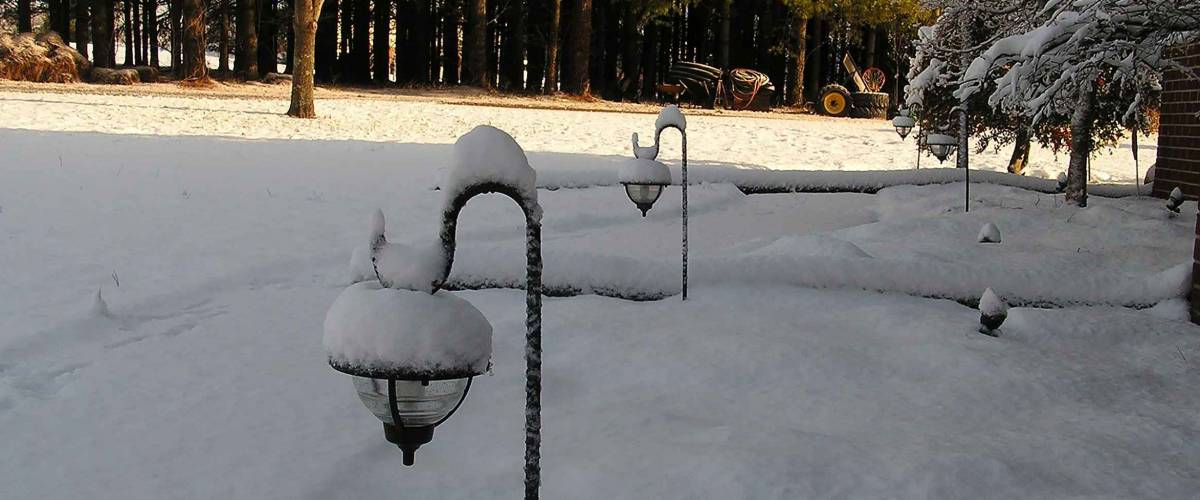 The beauty of snow in Lexington, North Carolina