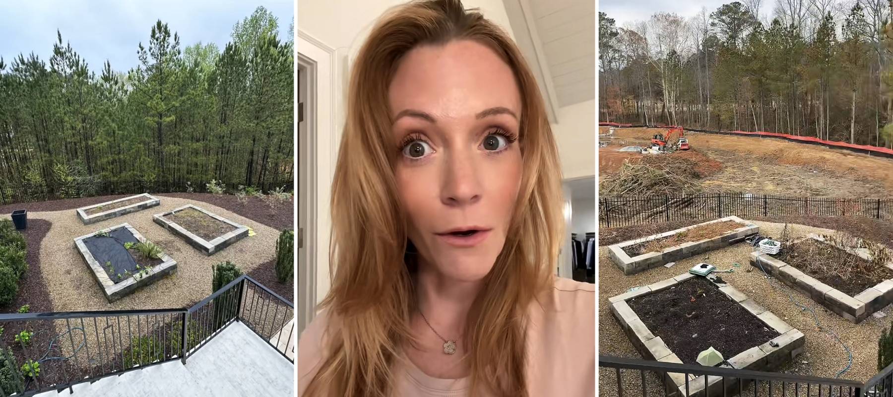 Lindsay DeFranco says her neighbor removed dozens of trees without permission.