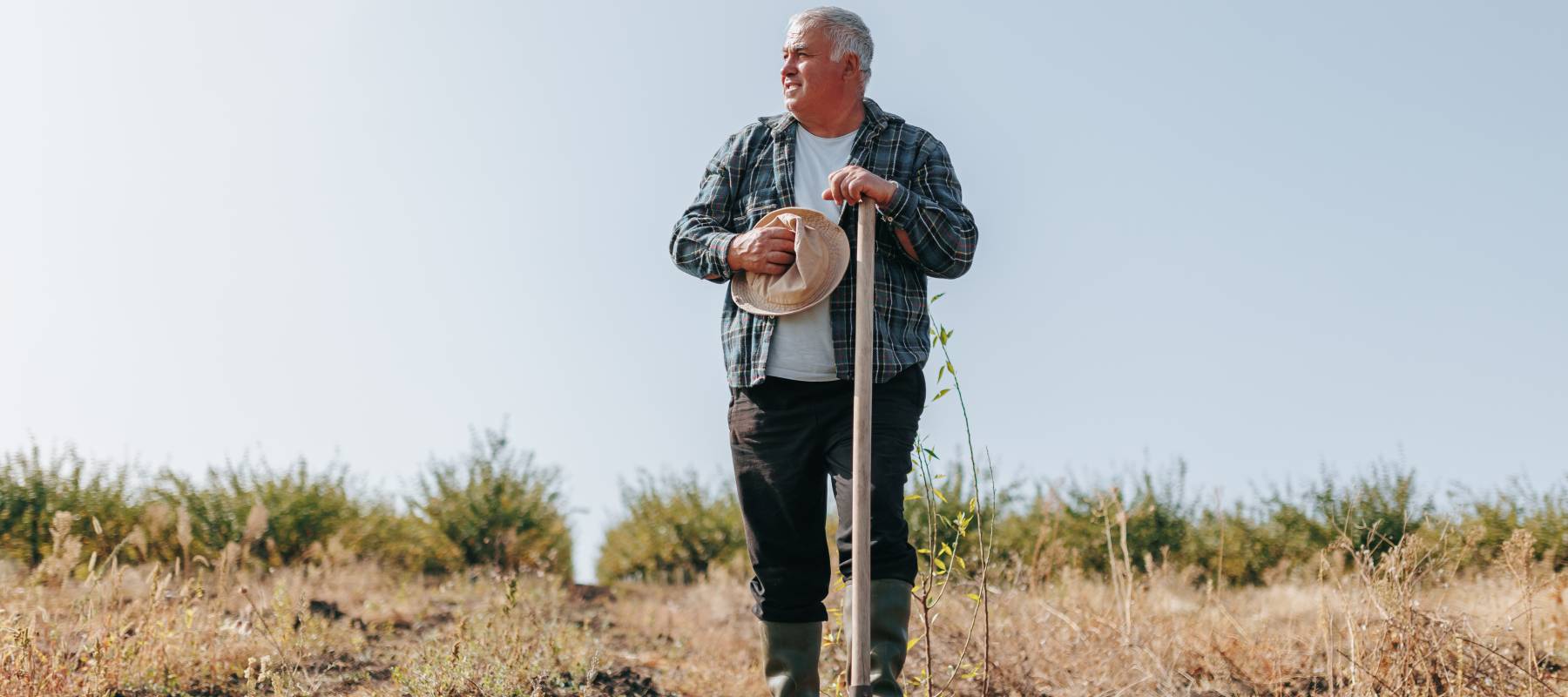 Your credit limit might be rising behind the scenes. New studies show more banks are using AI to raise limits on the most indebted borrowers.