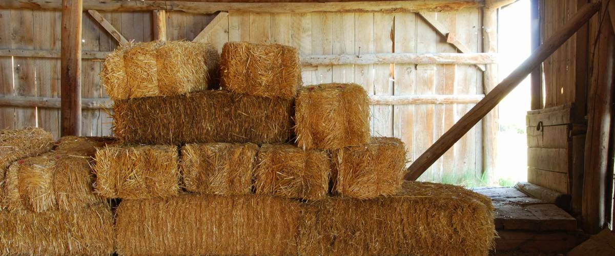 Hay in the old barn at Summer Lake National Wildlife Refuge in Central Oregon