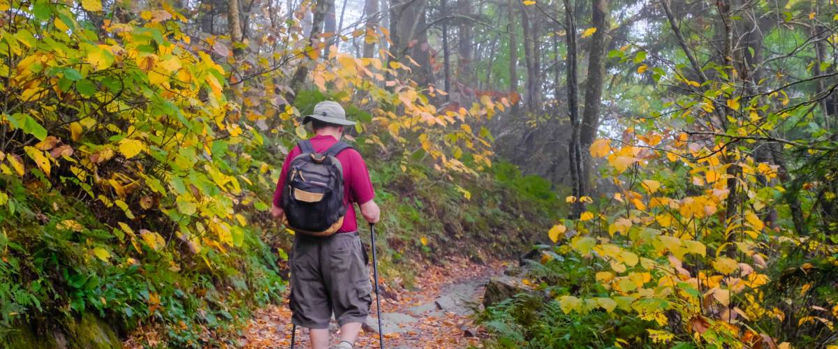 Senior man hiking on Appalachian Trail in Smoky Mountains National Park, Tennessee, on misty day in fall