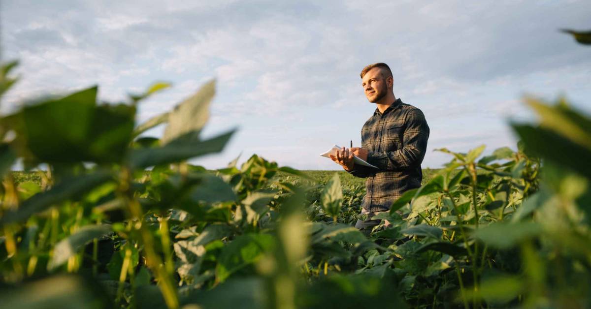 Why Now is the Time to Invest in Farmland