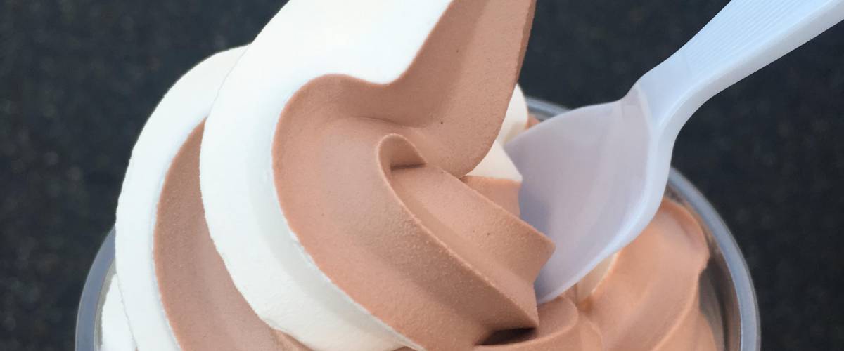 Frozen Chocolate Yogurt
