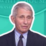 Dr. Anthony Fauci speaks to reporters in Washington DC.