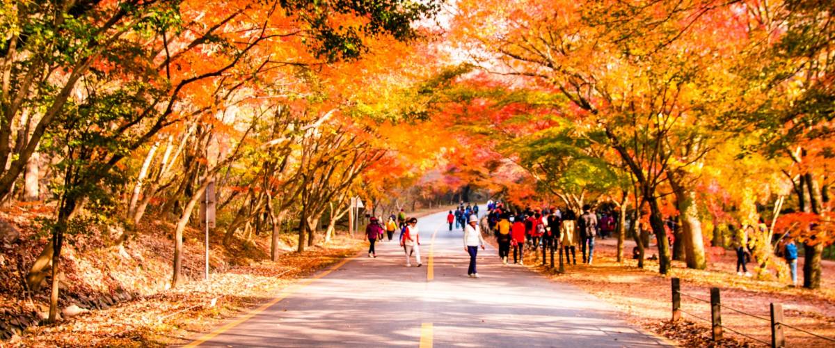 Autumn in South Korea