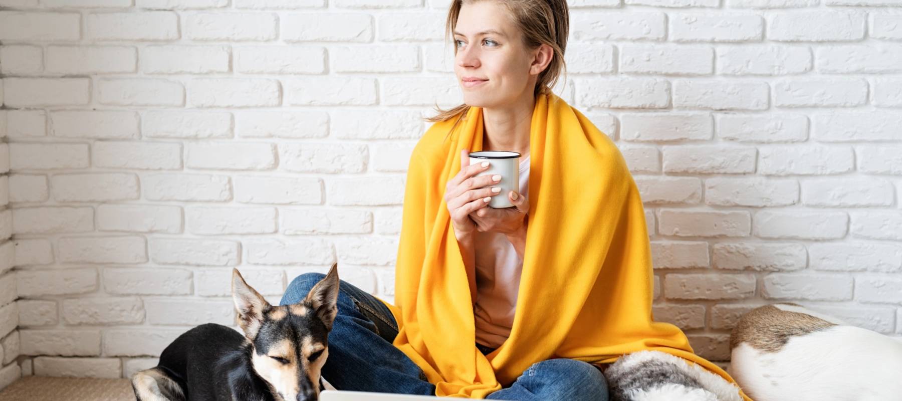 Graduation cap university or college degree on US dollars banknotes, representing student loan refinancing.