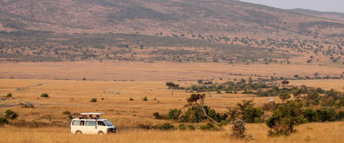 RÉSERVE NATIONALE DE MAASAI MARA, KENYA, AFRIQUE - 2016. Safari Van rempli de touristes écologiques traversant la vallée