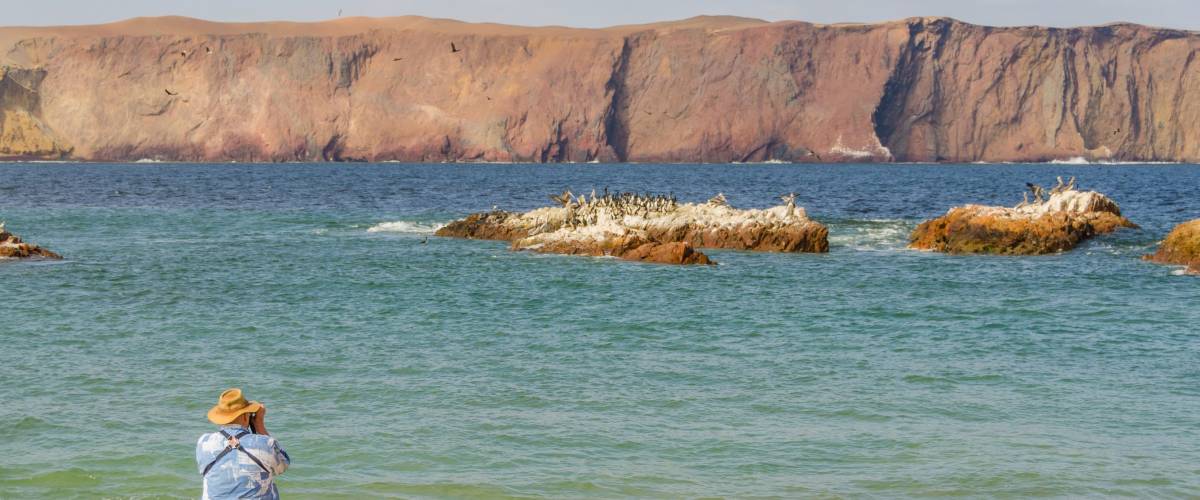 Senior tourist in Paracas National Reserve, Peru