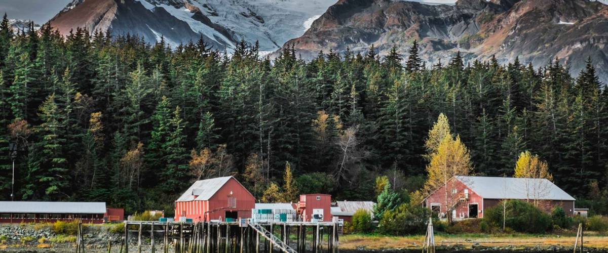 태평양 만에 위치한 통조림 공장은 따뜻한 가을 화창한 날 눈으로 덮인 산과 빙하를 배경으로 알래스카의 유명한 어촌인 헤인즈의 일부입니다.