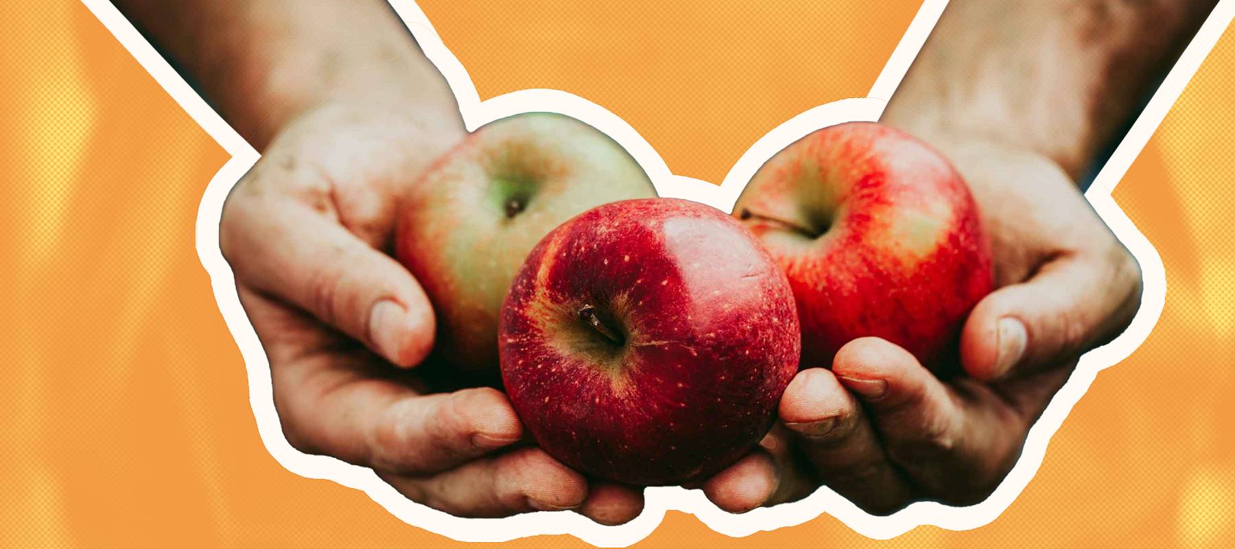 apples