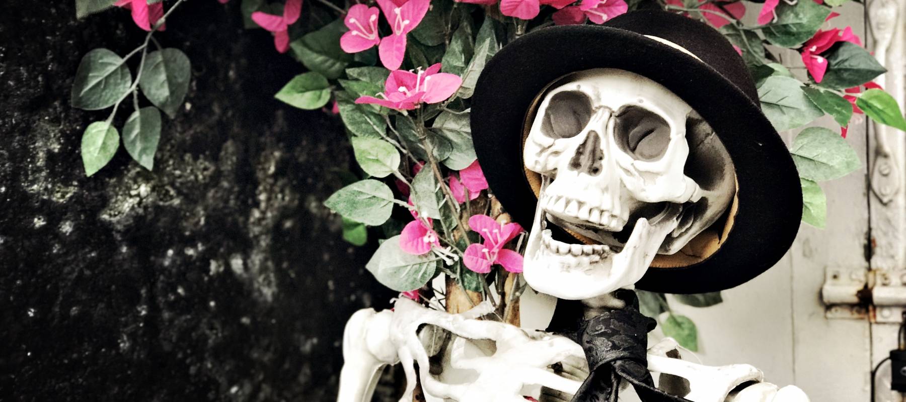 Laughing skull