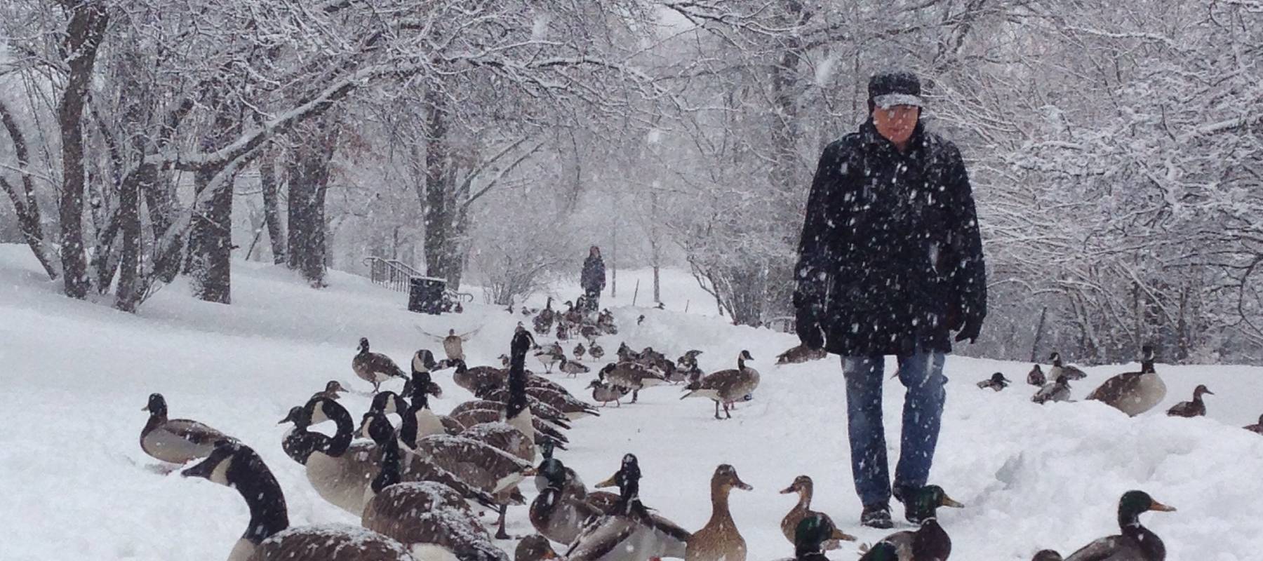 Evening commute in Boston blizzard