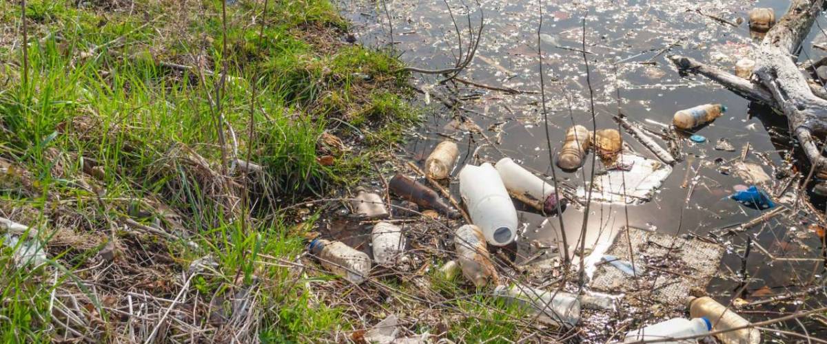 Garbage along the shoreline of the lake in Branch Brook Park in Newark New Jersey.