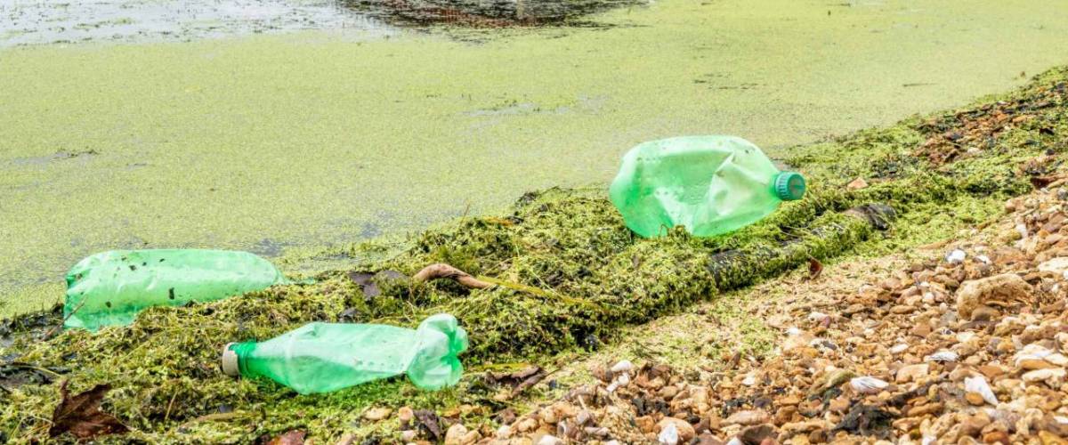 plastic bottle trash on river shore - Tennessee River with John Coffee Memorial Bridge (Natchez Trace National Parkway)