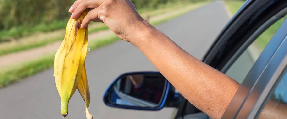 Female arm throwing fruit waste out of car window