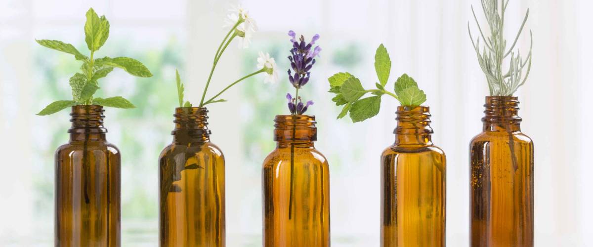 Brown Bottles of essential oil with fresh herbs