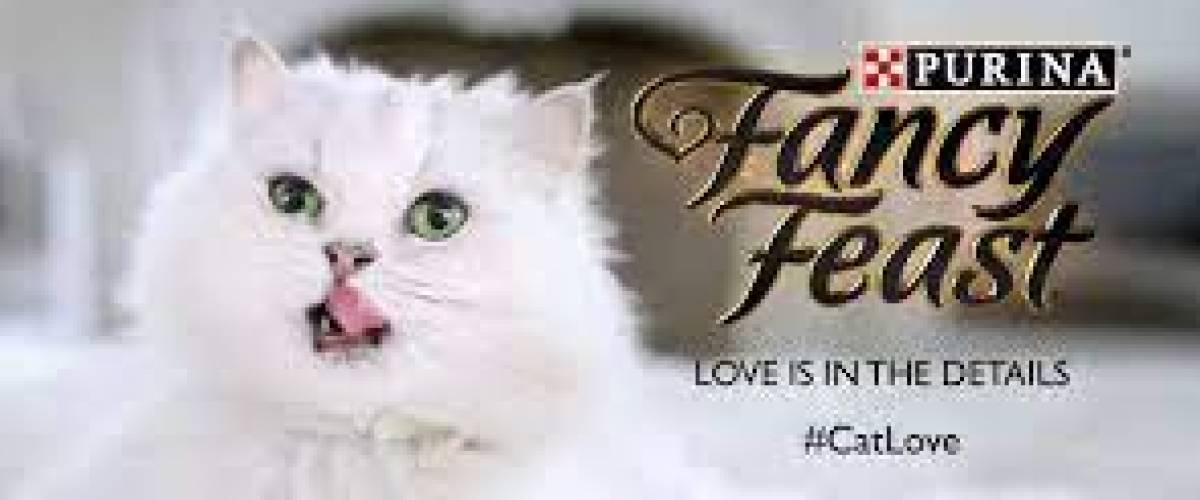 Purina Fancy Feast commercial