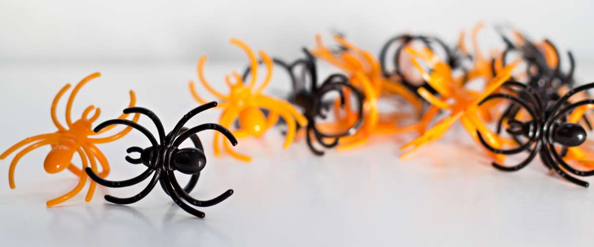 toy spider rings