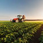 Tractor spraying pesticides on soybean field  with sprayer at spring