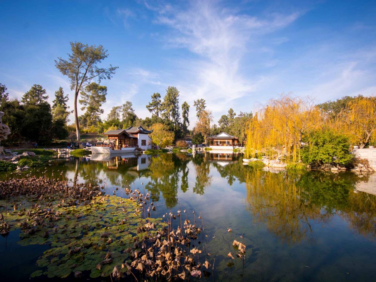 Japanese Garden in Southern California Huntington Library