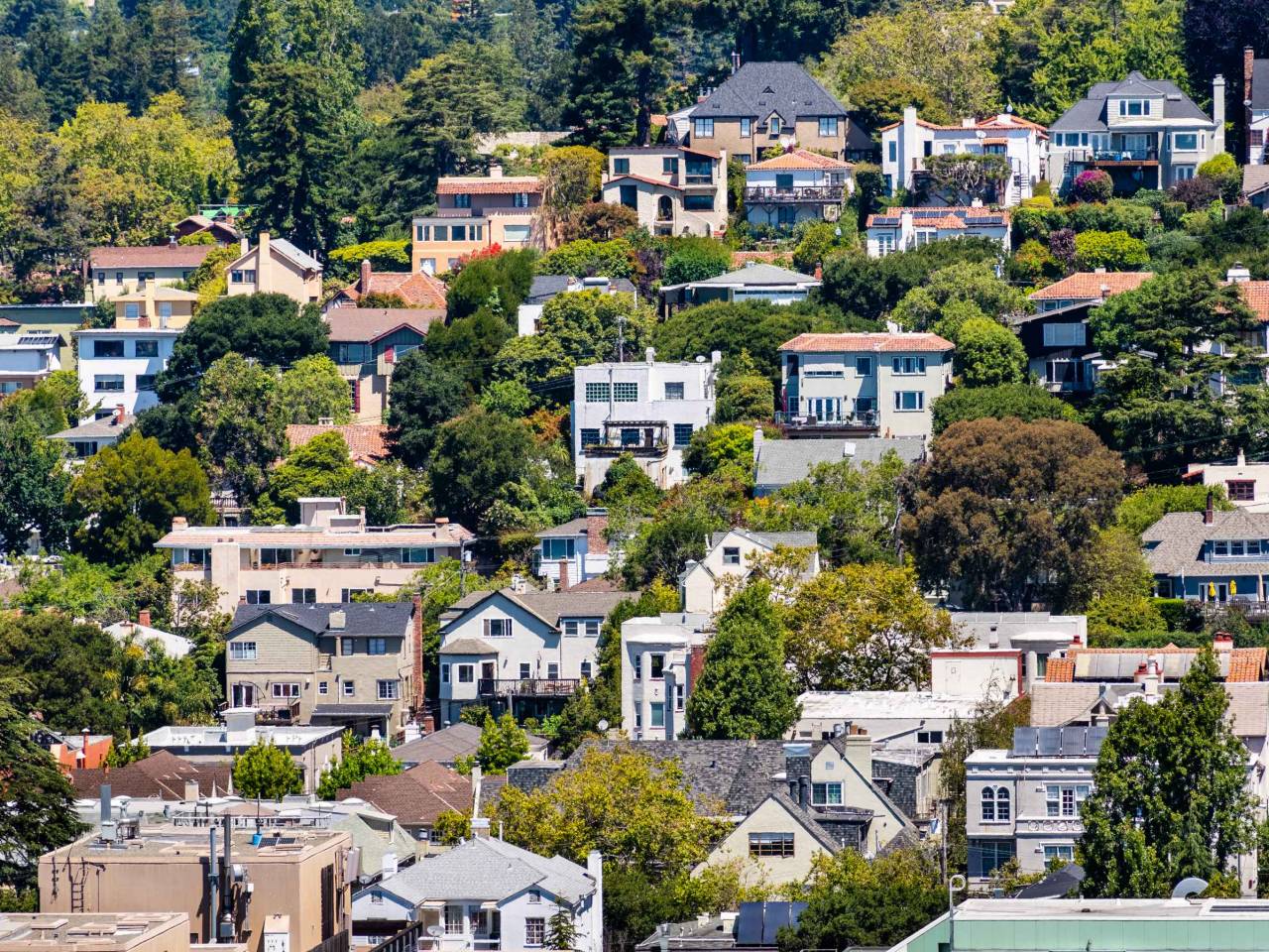 Aerial view of residential neighborhood built on a hill, Berkeley, San Francisco bay, California