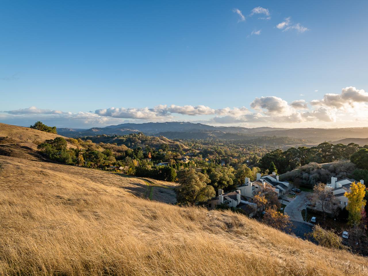 Walnut Creek, California