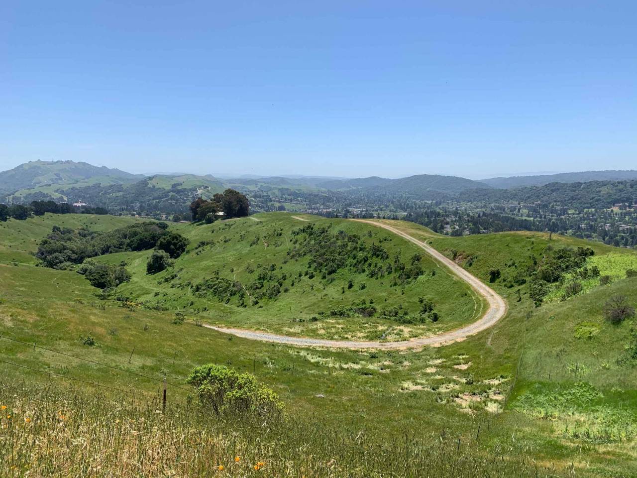 East bay hills, view from Mulholland Ridge