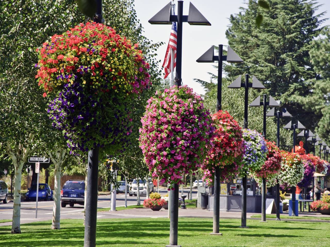 Raleigh Hills, Oregon - hanging flower baskets in the park