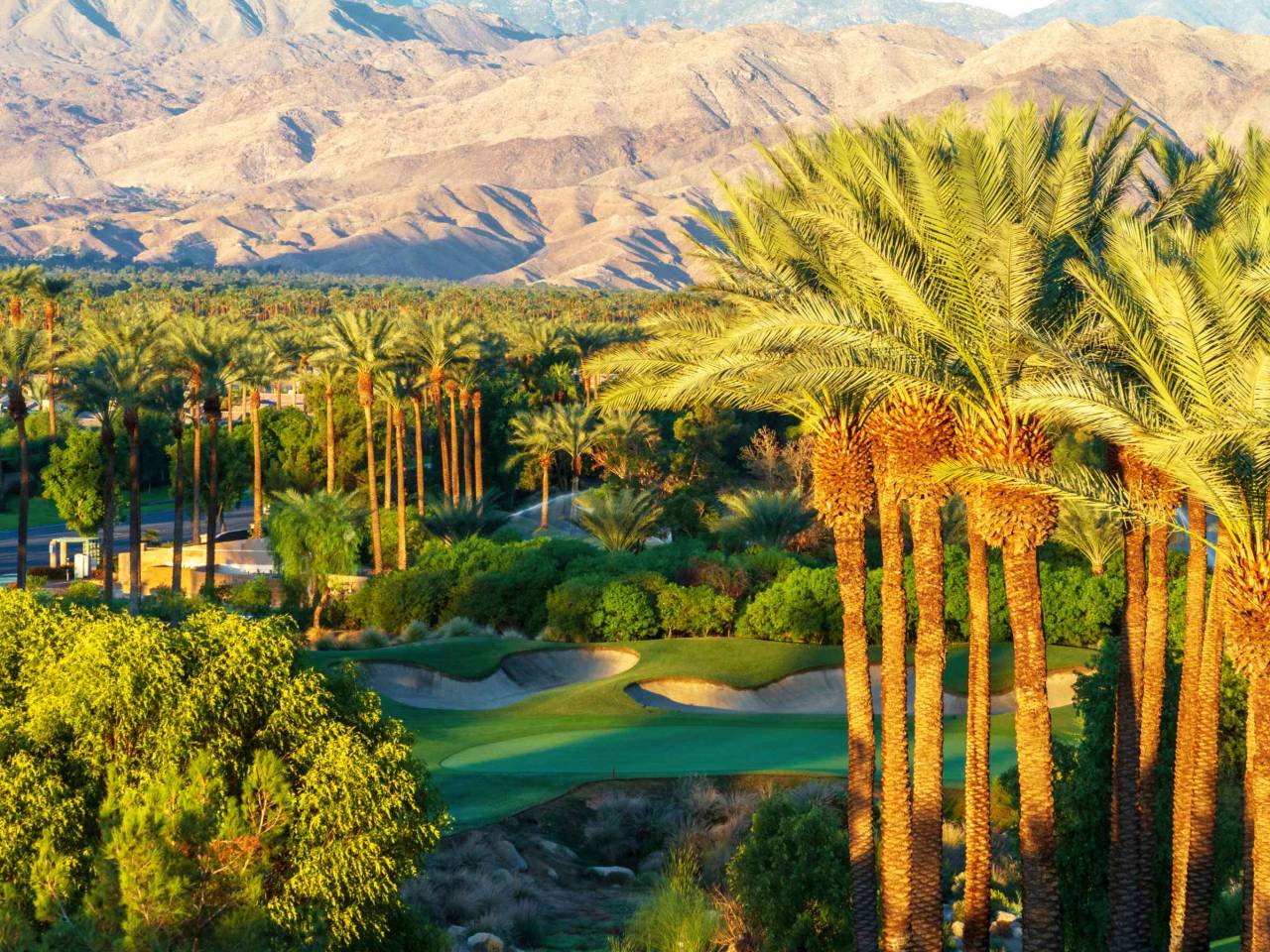 Palm trees with golf course and mountain range in the Coachella Valley