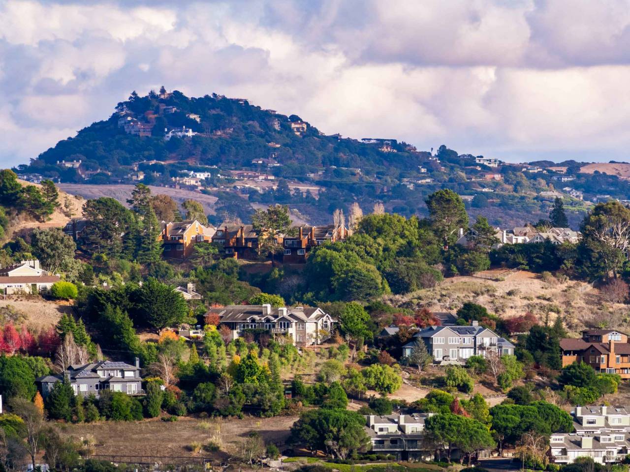 Aerial view of residential neighborhood with scattered houses build on hill slopes, Mill Valley, North San Francisco Bay Area, California