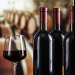Wine cellar with wine bottle and glasses.with space for text