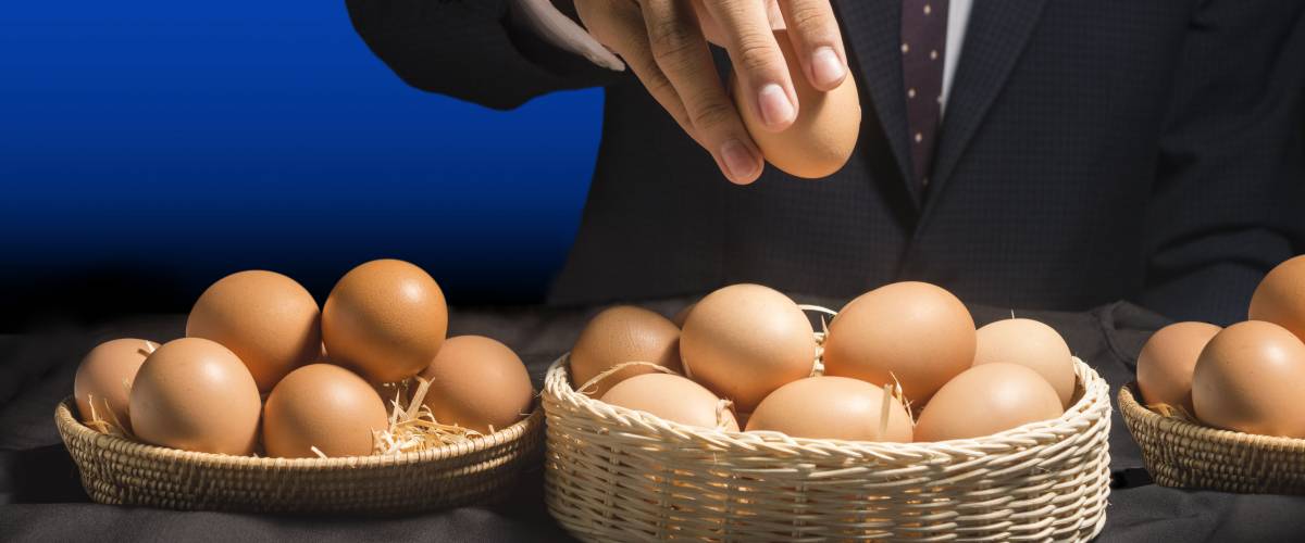 smart business man allocate egg into many baskets . do not put all eggs in one basket