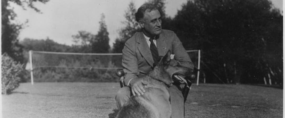 Franklin D. Roosevelt in wheelchair