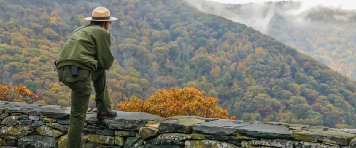 Ranger overlooking park