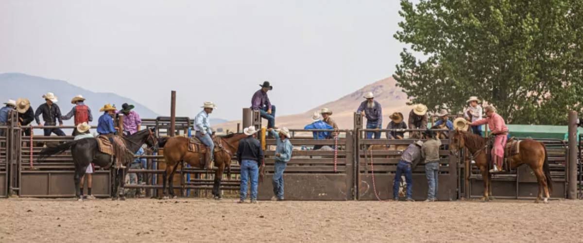 People riding horses