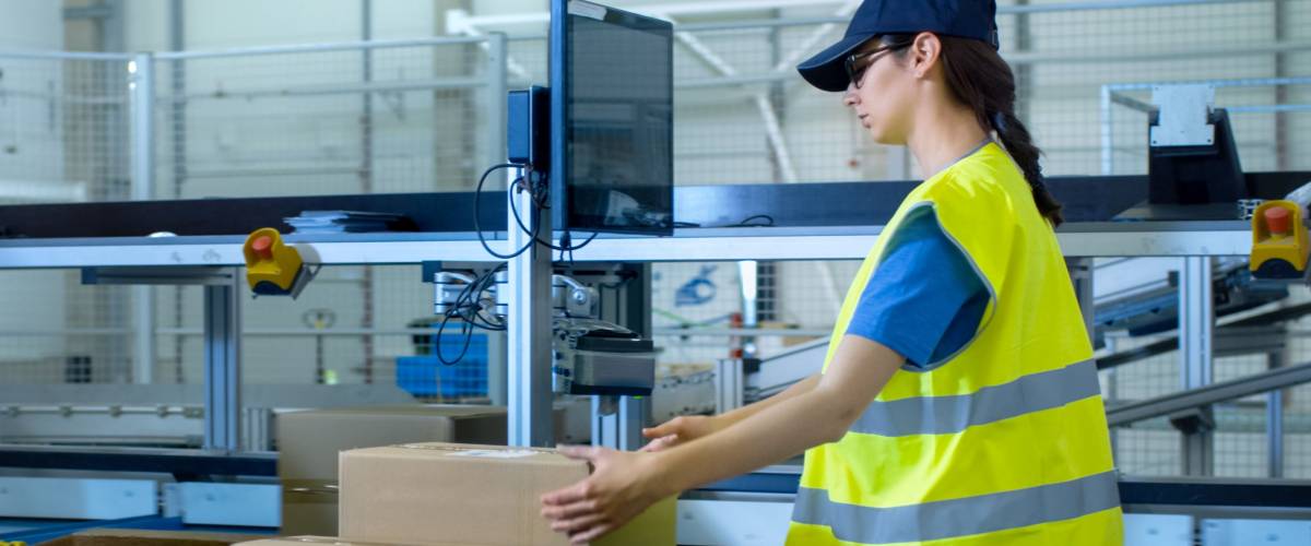 Postal Sorting Office Workers Put Cardboard Boxes on Belt Conveyor
