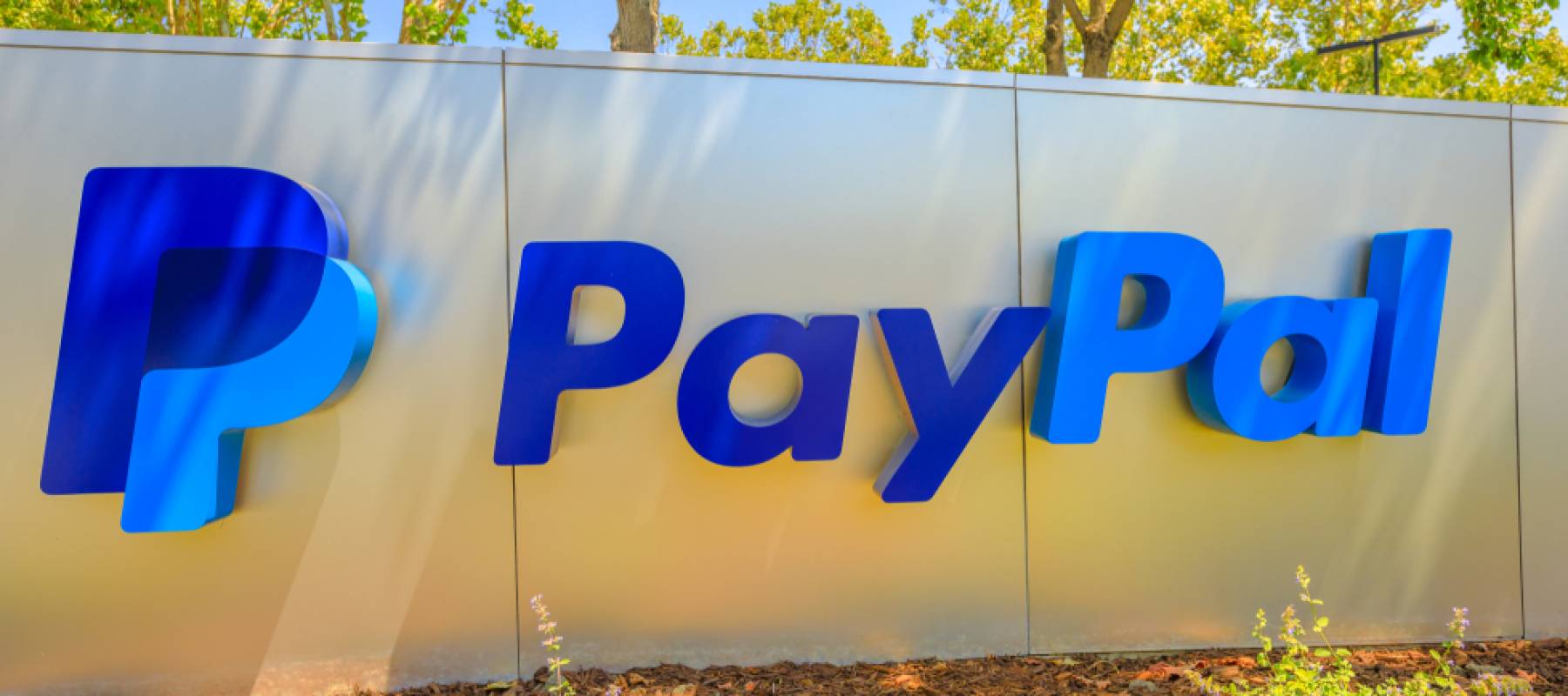 PayPal sign