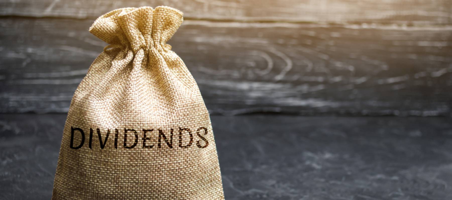 Money bag with the word Dividends