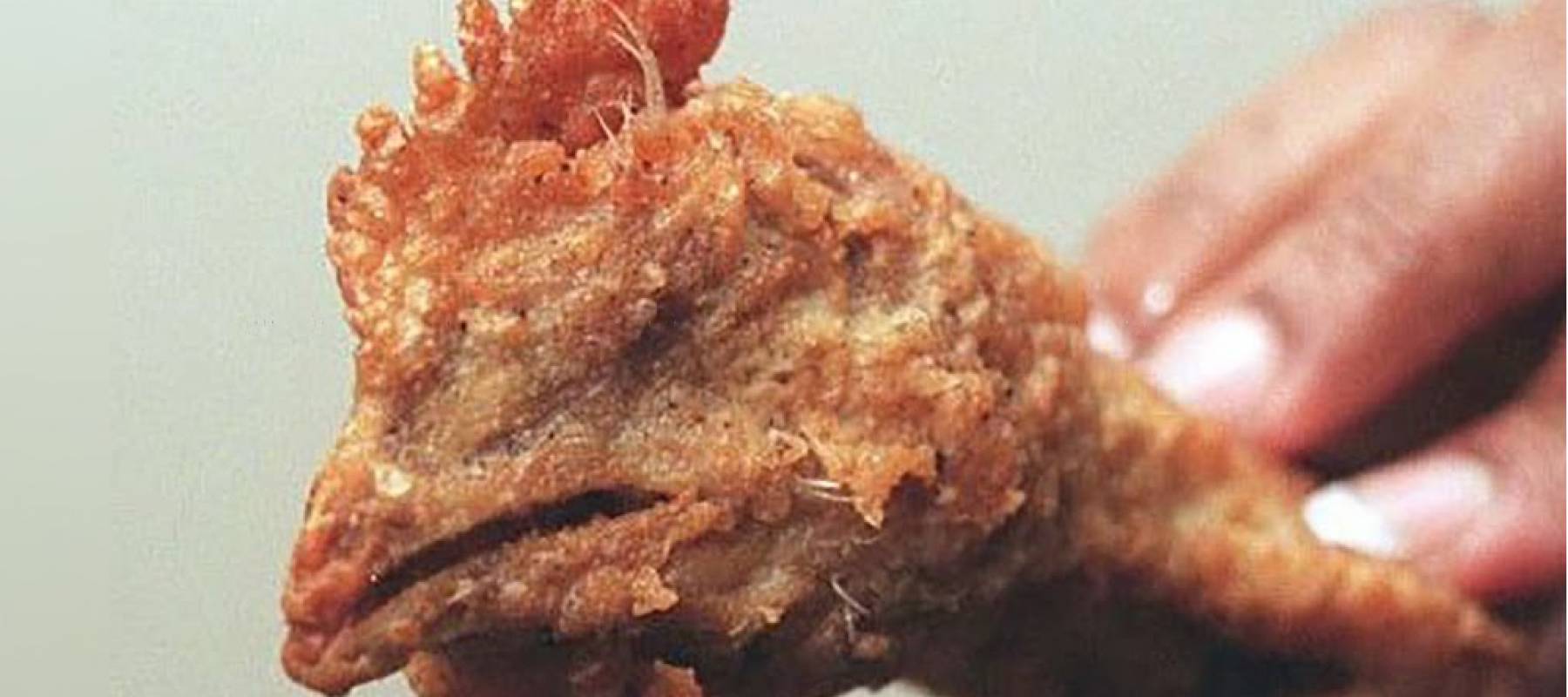 No more chickie nuggies